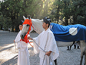 �L���_�{�@����Q��