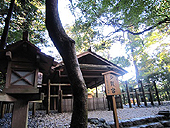 �L���_�{�@����{