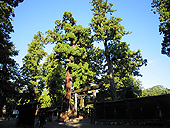 �L���_�{�@���a