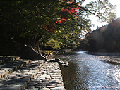 �c��_�{�@�܏\���