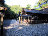 ��椋{�A��植r�䍰�{