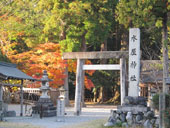 �����_��