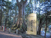 �����_�Ё@���