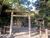 �֋{�@�����݂̂�