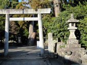 �֋{�@�|�_��