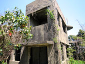 �_���@�ēI��